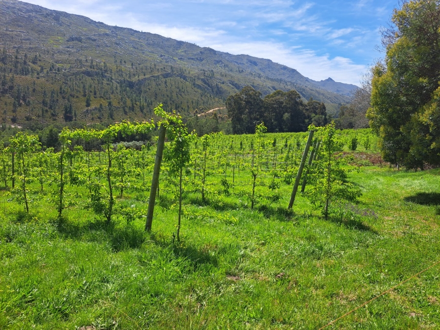 7 Bedroom Property for Sale in Riversdale Rural Western Cape